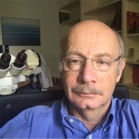 Professor Pierre Bedossa